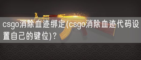 csgo消除血迹绑定(csgo消除血迹代码设置自己的键位)？