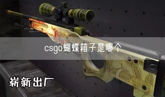 csgo蝴蝶箱子是哪个