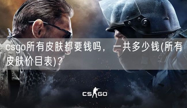 csgo所有皮肤都要钱吗，一共多少钱(所有皮肤价目表)？