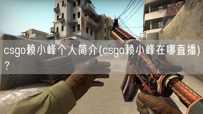 csgo赖小峰个人简介(csgo赖小峰在哪直播)？