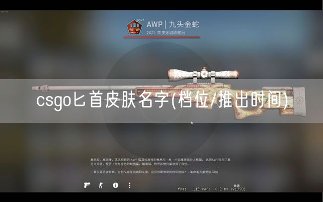 csgo匕首皮肤名字(档位/推出时间)