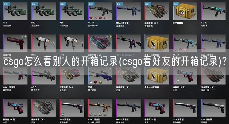 csgo怎么看别人的开箱记录(csgo看好友的开箱记录)?