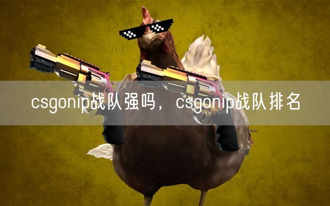 csgonip战队强吗，csgonip战队排名