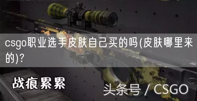 csgo职业选手皮肤自己买的吗(皮肤哪里来的)?