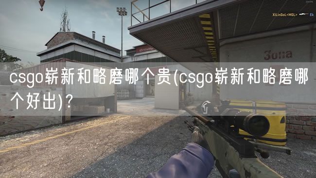 csgo崭新和略磨哪个贵(csgo崭新和略磨哪个好出)？