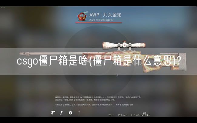 csgo僵尸箱是啥(僵尸箱是什么意思)?