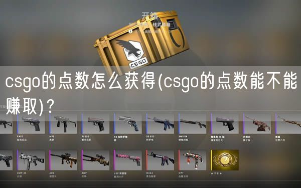 csgo的点数怎么获得(csgo的点数能不能赚取)？