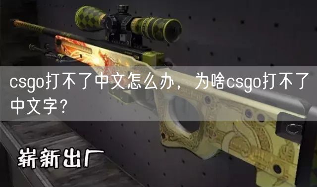 csgo打不了中文怎么办，为啥csgo打不了中文字？