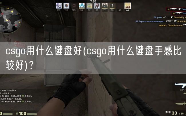 csgo用什么键盘好(csgo用什么键盘手感比较好)？