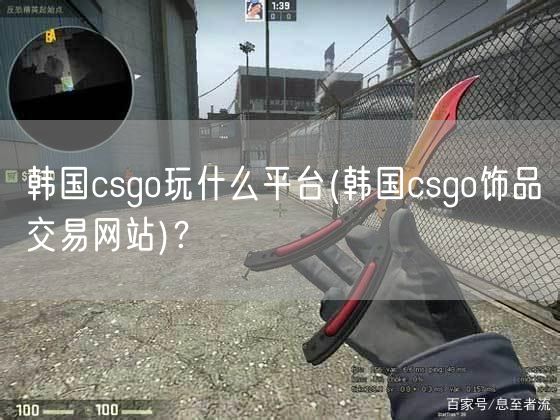 韩国csgo玩什么平台(韩国csgo饰品交易网站)？