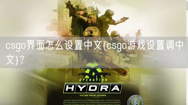 csgo界面怎么设置中文(csgo游戏设置调中文)？