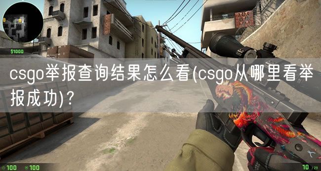 csgo举报查询结果怎么看(csgo从哪里看举报成功)？