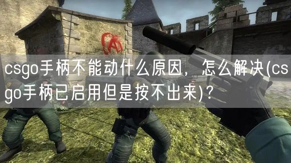 csgo手柄不能动什么原因，怎么解决(csgo手柄已启用但是按不出来)？