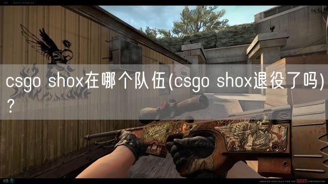 csgo shox在哪个队伍(csgo shox退役了吗)？