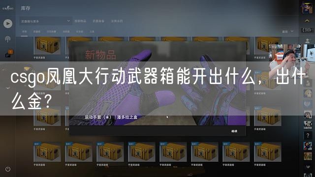 csgo凤凰大行动武器箱能开出什么，出什么金？