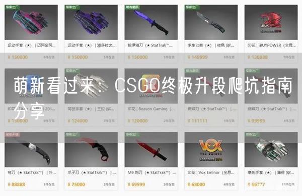 萌新看过来：CSGO终极升段爬坑指南分享