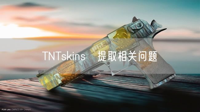 TNTskins提取相关问题