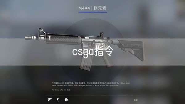 csgo指令