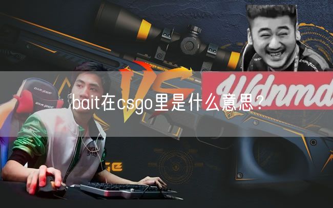 bait在csgo里是什么意思？