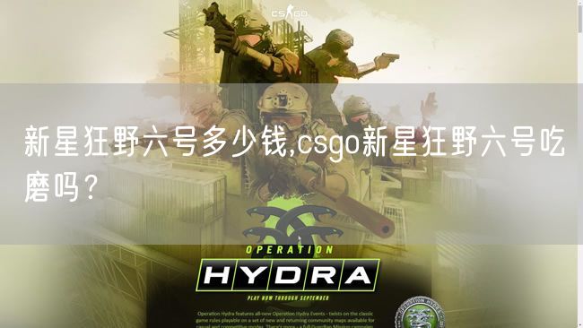 新星狂野六号多少钱,csgo新星狂野六号吃磨吗？