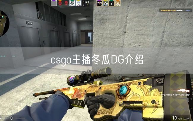 csgo主播冬瓜DG介绍