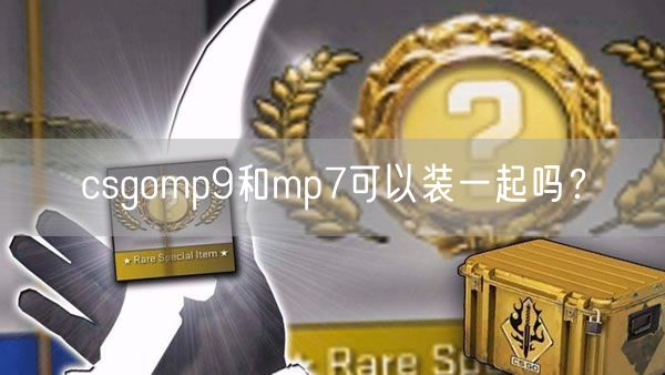 csgomp9和mp7可以装一起吗？