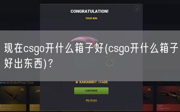 现在csgo开什么箱子好(csgo开什么箱子好出东西)？