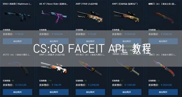 CS:GO FACEIT APL 教程