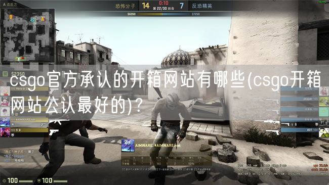 csgo官方承认的开箱网站有哪些(csgo开箱网站公认最好的)？