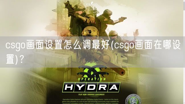 csgo画面设置怎么调最好(csgo画面在哪设置)？