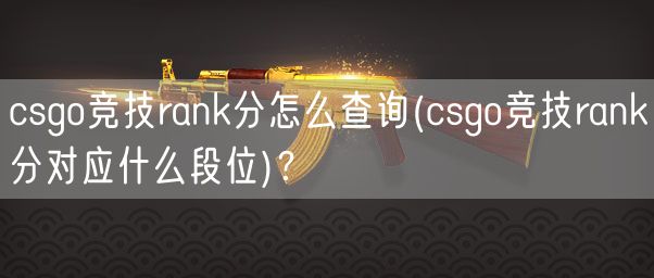 csgo竞技rank分怎么查询(csgo竞技rank分对应什么段位)？