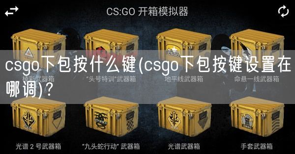 csgo下包按什么键(csgo下包按键设置在哪调)？