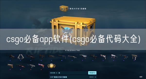 csgo必备app软件(csgo必备代码大全)