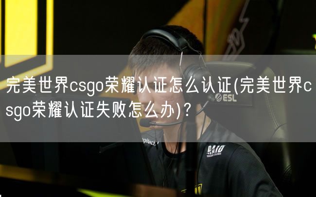 完美世界csgo荣耀认证怎么认证(完美世界csgo荣耀认证失败怎么办)？