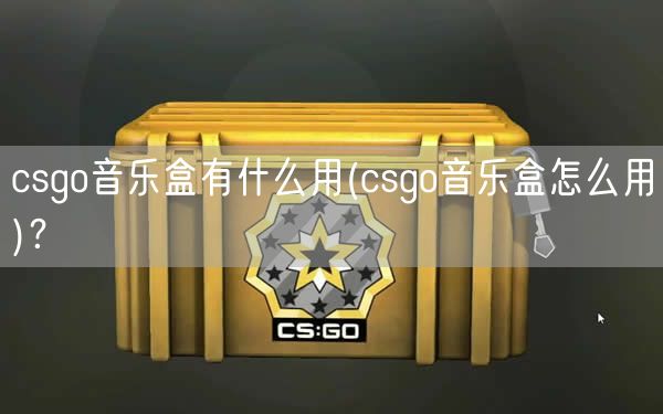 csgo音乐盒有什么用(csgo音乐盒怎么用)？