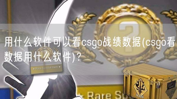 用什么软件可以看csgo战绩数据(csgo看数据用什么软件)？