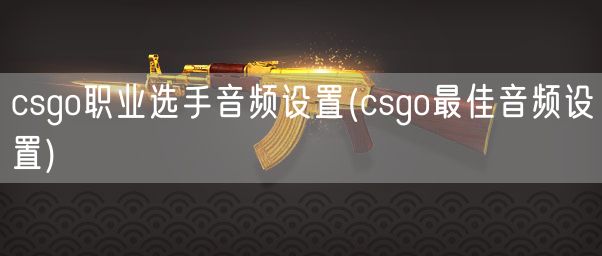 csgo职业选手音频设置(csgo最佳音频设置)