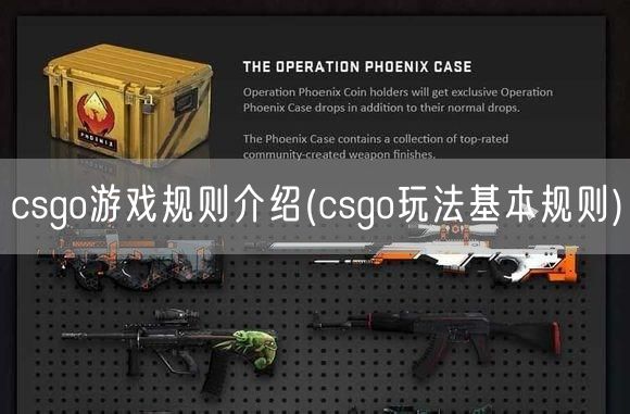 csgo游戏规则介绍(csgo玩法基本规则)