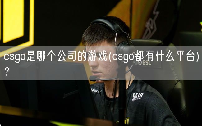 csgo是哪个公司的游戏(csgo都有什么平台)？