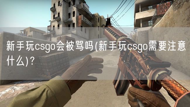 新手玩csgo会被骂吗(新手玩csgo需要注意什么)？