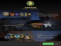 csgo为什么要买优先权98元(csgo优先权会打折吗)？