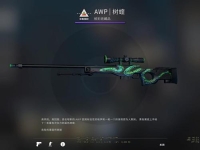 csgo蛇狙多少钱，叫什么，吃磨损吗？