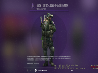 csgo探员皮肤每个地图都可以用吗(csgo探员皮肤哪个好用)？