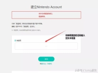 任天堂账号注册选哪个国家好，任天堂账号注册官网