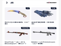 csgozywOo用什么皮肤，csgozywOo有喷漆吗？