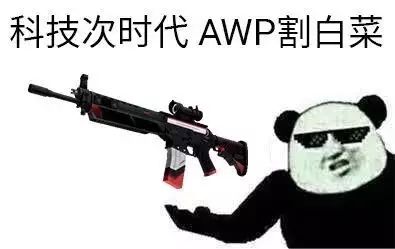 csgo皮肤表情包(表情包大图)