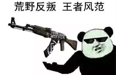 csgo皮肤表情包(表情包大图)