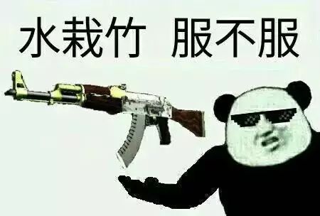 csgo皮肤表情包(表情包大图)