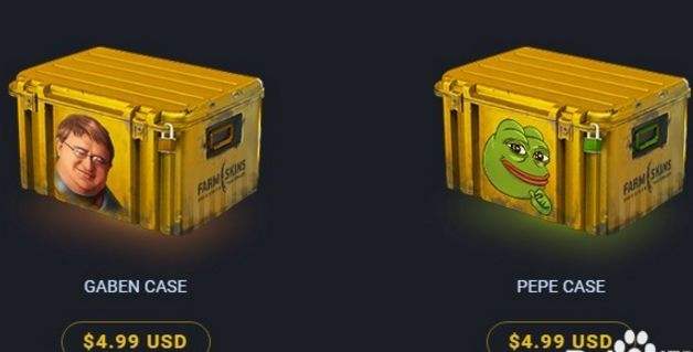 CSGO网站开箱farmskins 国外开箱子网址