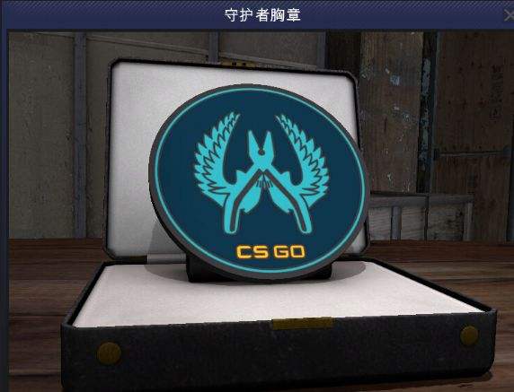 csgo精英守护者胸章是什么 精英守护者胸章怎么获